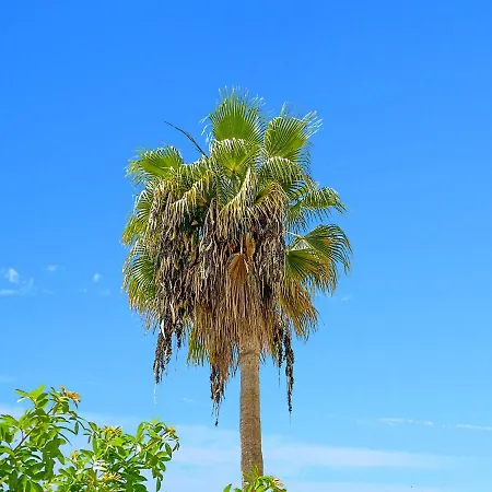 Laguna * Puerto Rico (Gran Canaria)